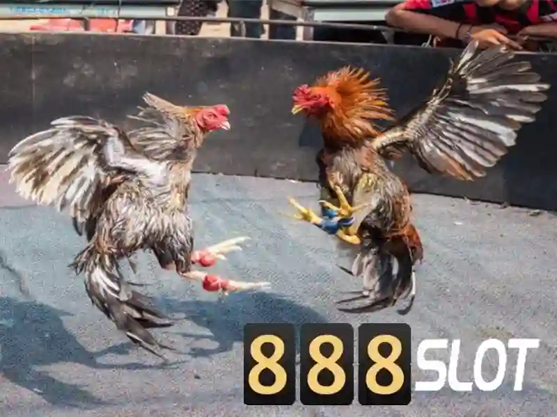 Hướng phát triển và tầm nhìn tương lai\n<h2 class=