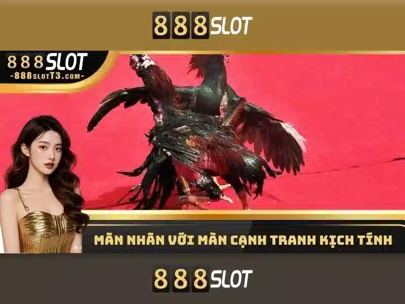 Các trò chơi và chức năng