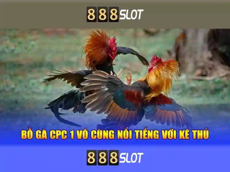 Việt Vị Trong Bóng Đá
