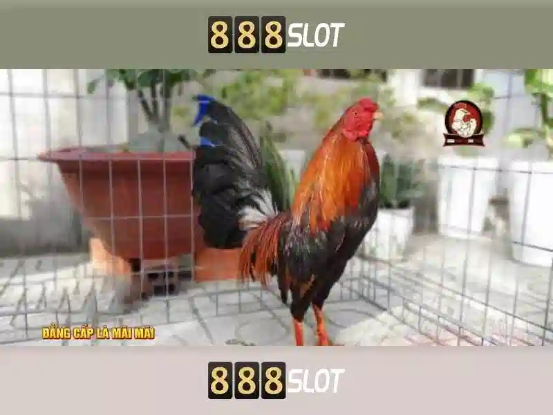 Tổng quan chủ đề và giá trị cốt lõi