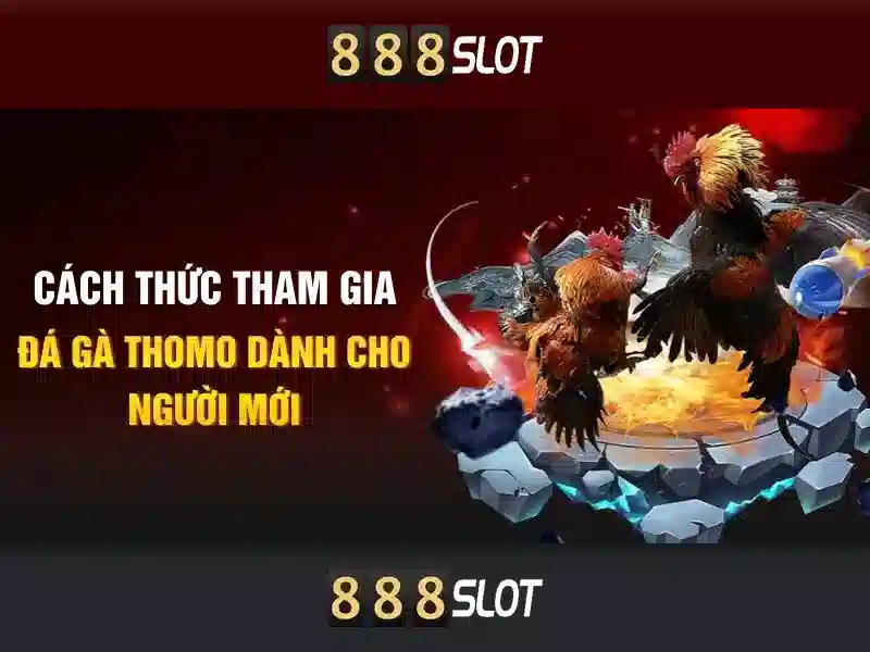 Tổng quan master slot 888