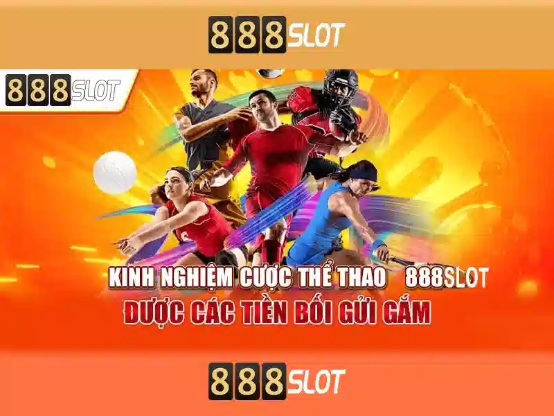 Trải nghiệm người dùng và giao diện