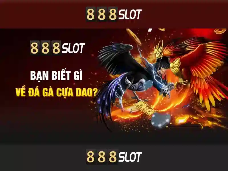 Khuyến mãi và thanh toán