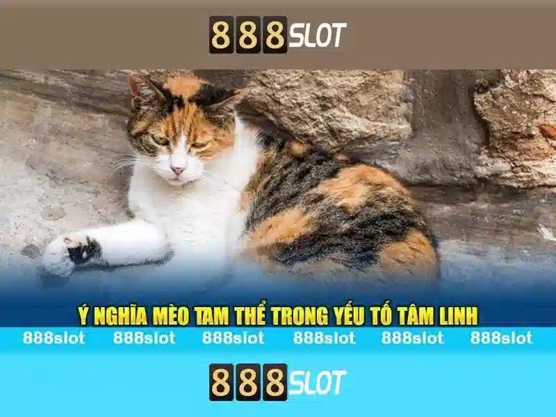 Việt Vị Trong Bóng Đá