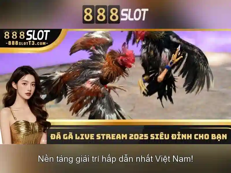 Kinh nghiệm chơi và mẹo