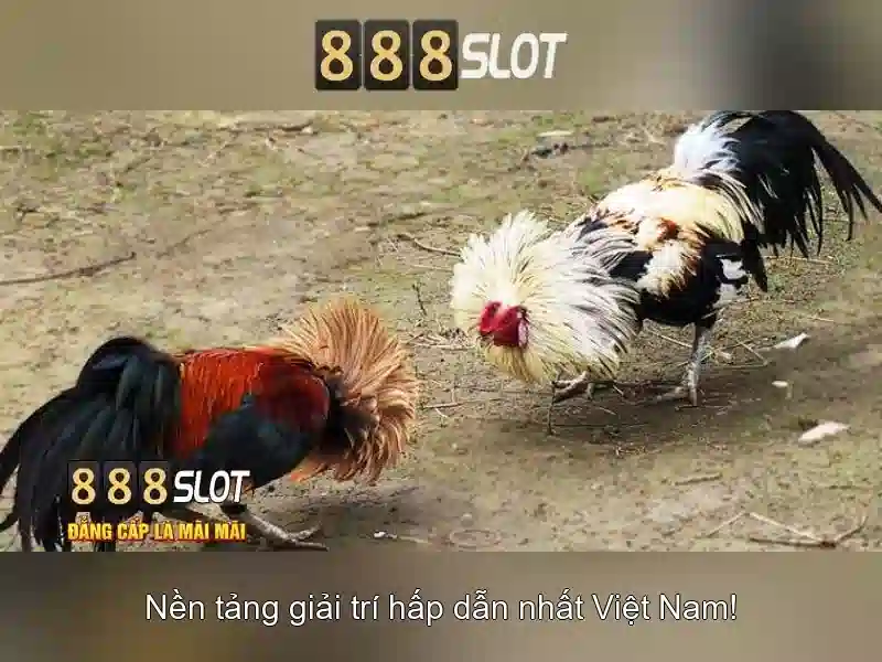 Bảo mật và thanh toán