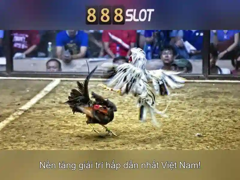 An toàn và thanh toán dễ dàng