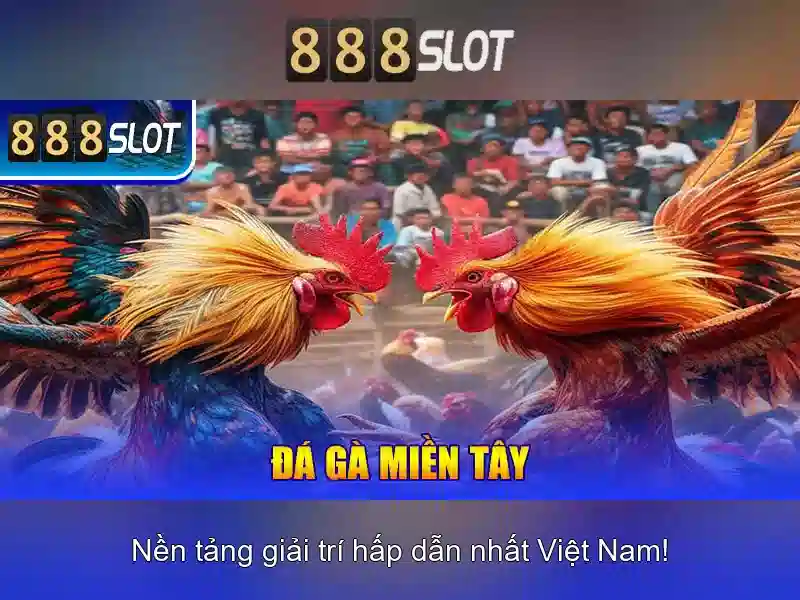 Nền tảng và trải nghiệm người dùng