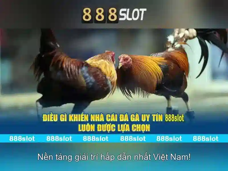 Khuyến mãi và thưởng
