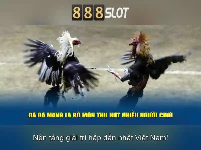 Khuyến mãi và tiền thưởng hấp dẫn